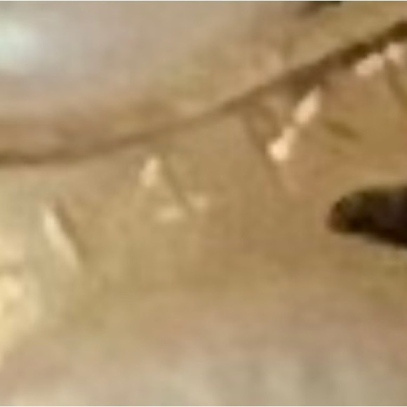 Classic Natural Pearl Necklace with Matching Earring Set - Picture 11 of 11